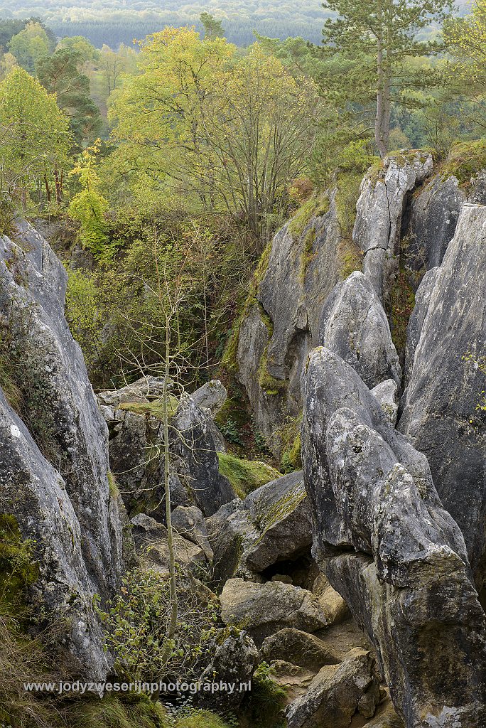 Fondry des Chiens, Viroinval, België, 25-10-2017
