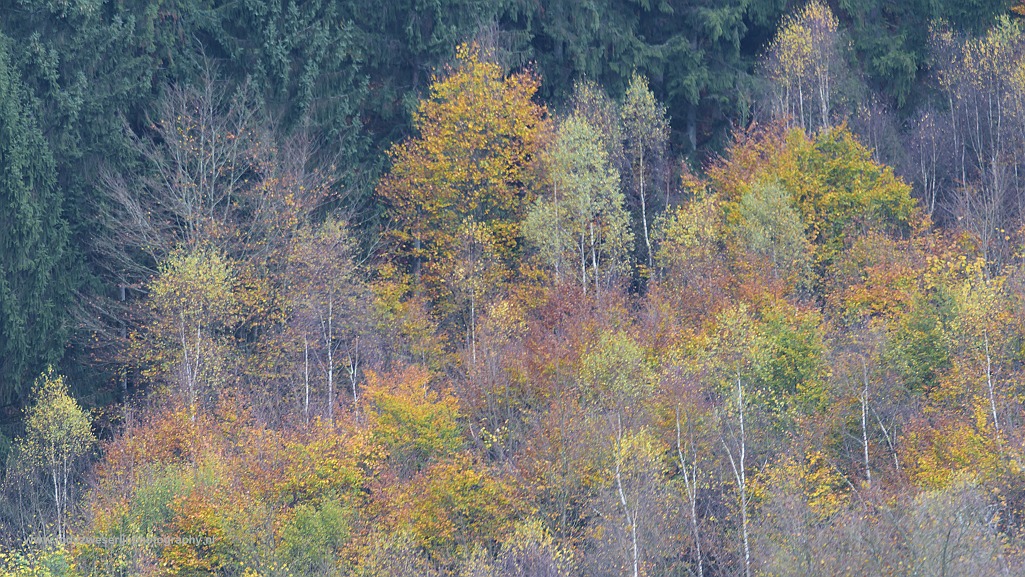 Heuvelen en dalen rond de Semois, België, 28-10-2017
