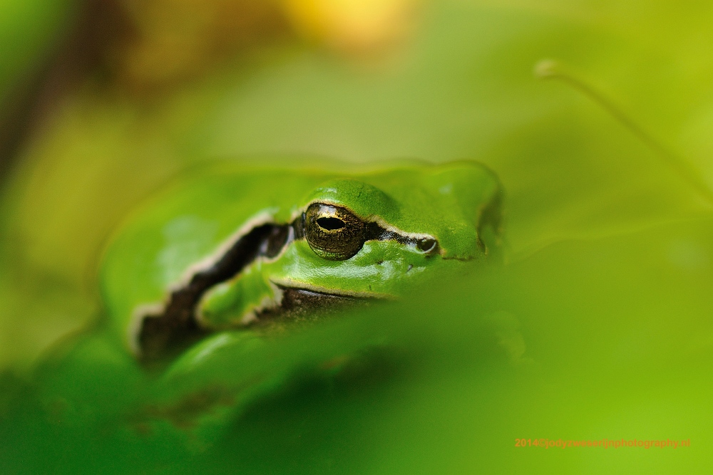 sized_DSC_1423_2032