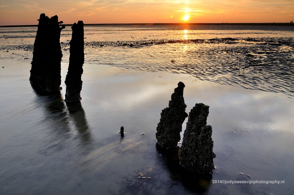 Waddenkust bij Moddergat, 7-11-2014