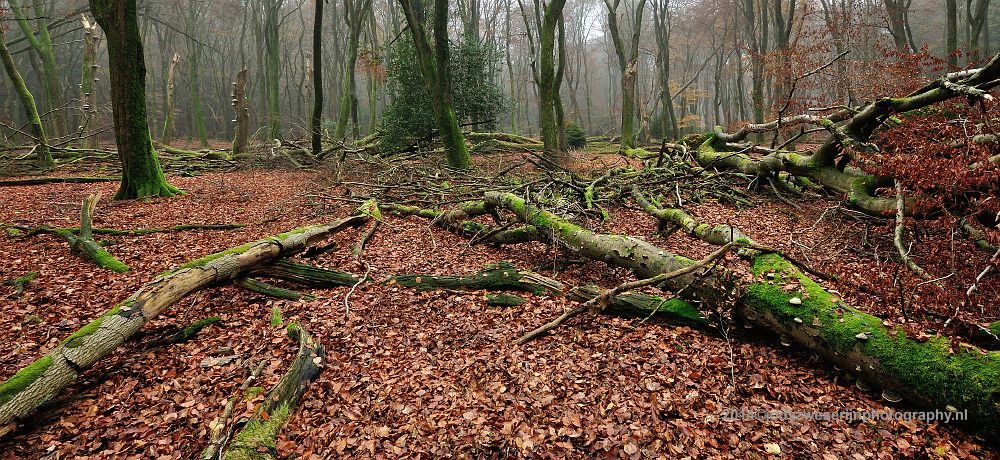 Speulderbos, Buurtschap Drie, 30-11-2014