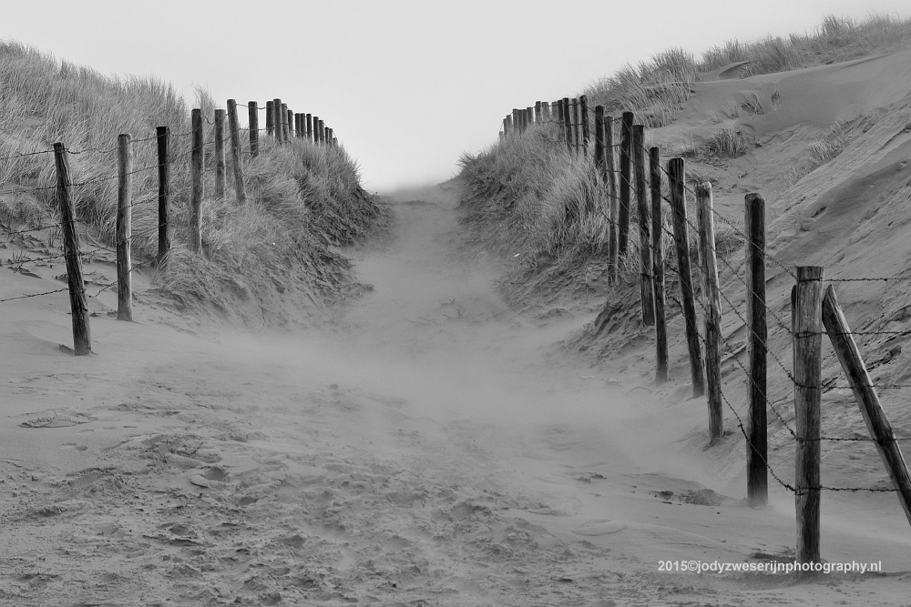 Harde wind bij Zandvoort 11-1-2014