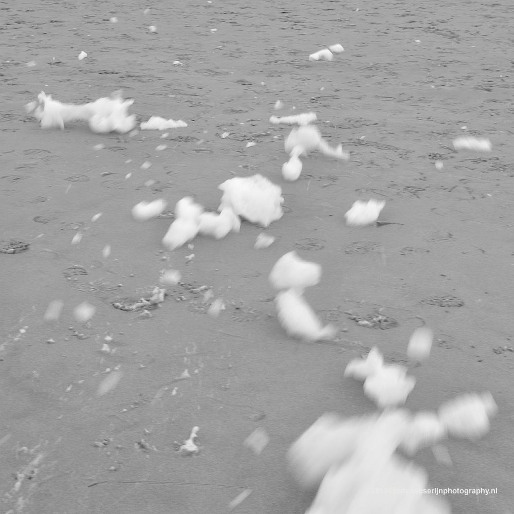 sized_DSC_6863_2439