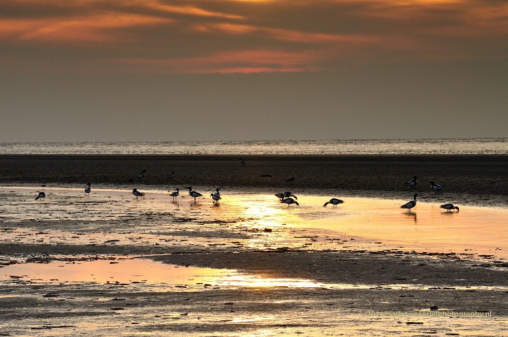 Ondergaande zon, Kwade Hoek, Goedereede, 31-5-2014