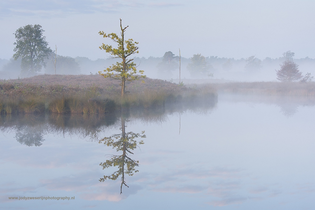 Hatertse en Overasseltse vennen, Overasselt, Nederland, 17-9-2017
