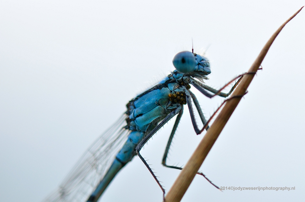 sized_DSC_8430_1846