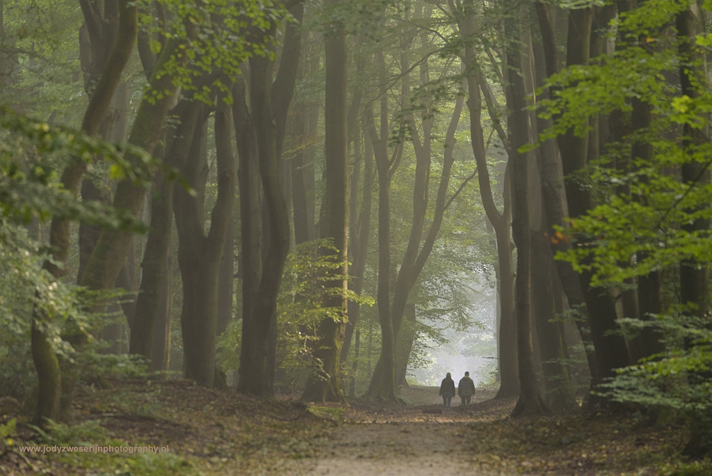 Speulderbos, Drie, Nederland, 24-9-2017